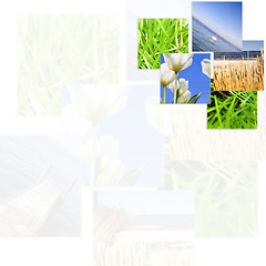 Image showing Nature collage.