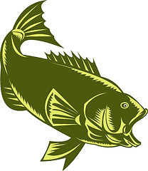 Image showing Largemouth Bass