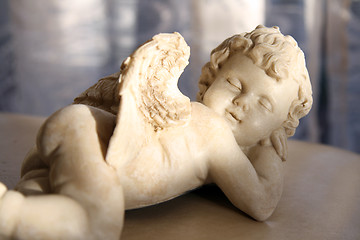 Image showing sleeping angel