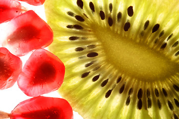 Image showing beautiful and fresh pomegranate grains and kiwi