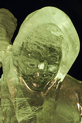 Image showing Cold portrait