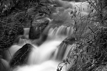 Image showing Flowing water the river in Portugal