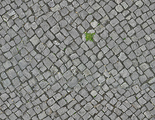 Image showing Pavement texture 3