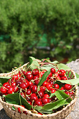 Image showing beautiful and tasty cherries