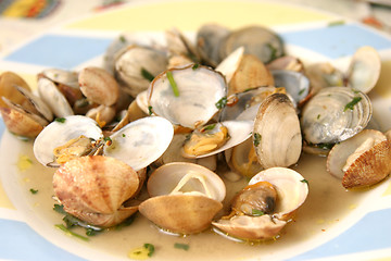 Image showing beautiful and tasty clams