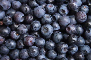 Image showing blueberries background