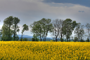 Image showing czech agricultural country