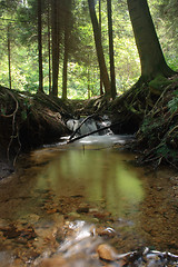 Image showing nice forest river