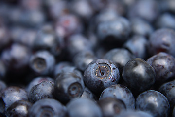 Image showing blueberries background