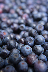 Image showing blueberries background