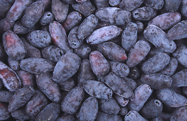 Image showing exotic blueberries