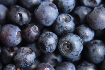 Image showing blueberries background