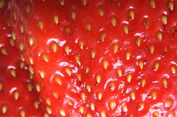 Image showing strawbery background