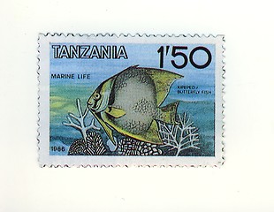 Image showing tanzania stamp