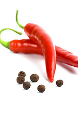 Image showing two red cayenne and aromatic pepper 