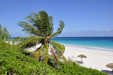 Image showing caribean beach