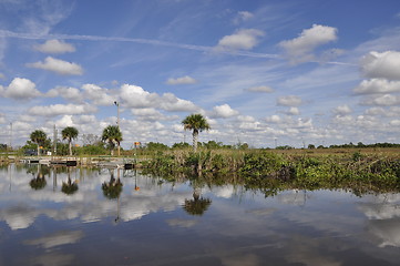 Image showing everglades