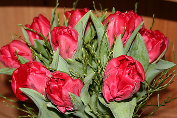 Image showing Tulips