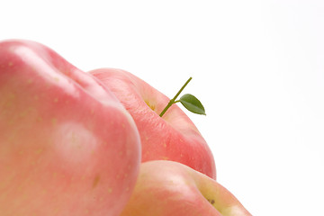 Image showing Fruits, Rose Apple