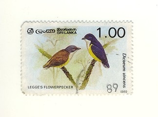 Image showing sri lanka stamp