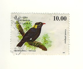 Image showing sri lanka stamp