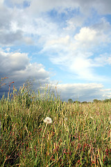 Image showing Storm clouds over the field