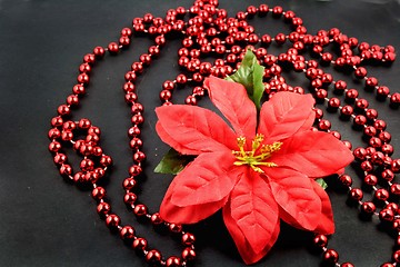 Image showing Red poinsettias with beads