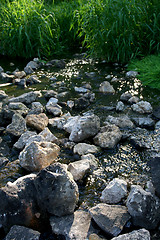 Image showing Rocky stream