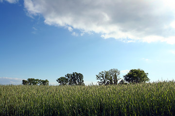 Image showing Storm clouds over the field