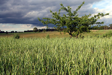 Image showing Storm clouds over the field