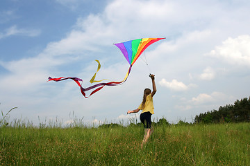 Image showing Flying kite