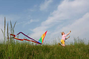 Image showing Flying kite