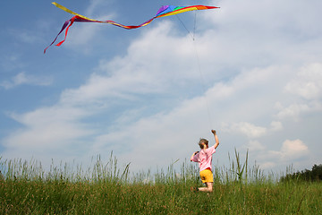 Image showing Flying kite