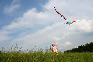 Image showing Flying kite