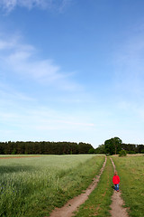 Image showing Walking