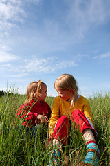 Image showing In the grass