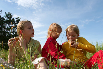 Image showing In the grass