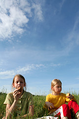 Image showing In the grass