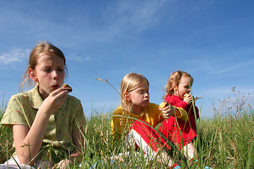 Image showing In the grass