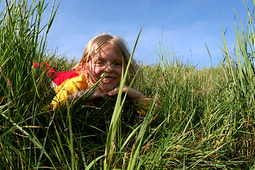 Image showing In the grass