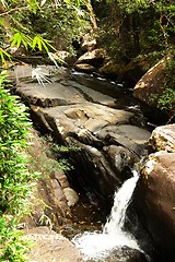 Image showing Waterfall in the jungle.