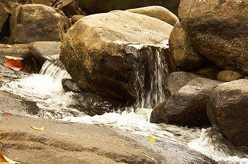 Image showing Waterfall in the jungle.