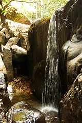 Image showing Waterfall in the jungle.