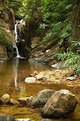 Image showing Waterfall in the jungle.