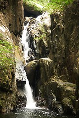 Image showing Waterfall in the jungle.