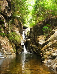 Image showing Waterfall in the jungle.