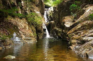 Image showing Waterfall in the jungle.