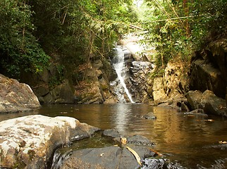 Image showing Waterfall in the jungle.