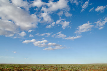 Image showing australian desert after rain