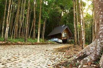 Image showing Bungalow in the rain forest.